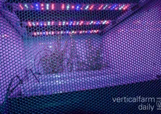 Wuerth Elektronik is showcasing its LED solutions for vertical farming